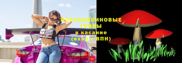 крисы Баксан