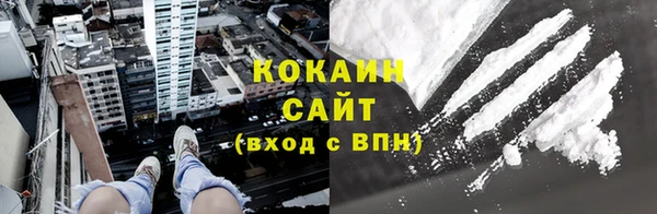 крисы Баксан