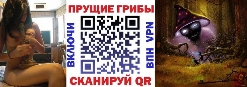 мега сайт Кувандык Галлюциногенные грибы Psilocybe